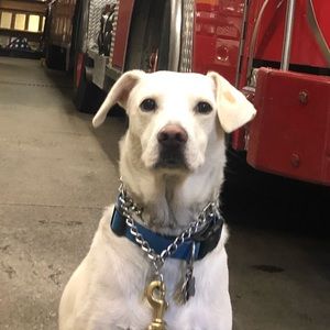 Meet your Posher, Gaetano